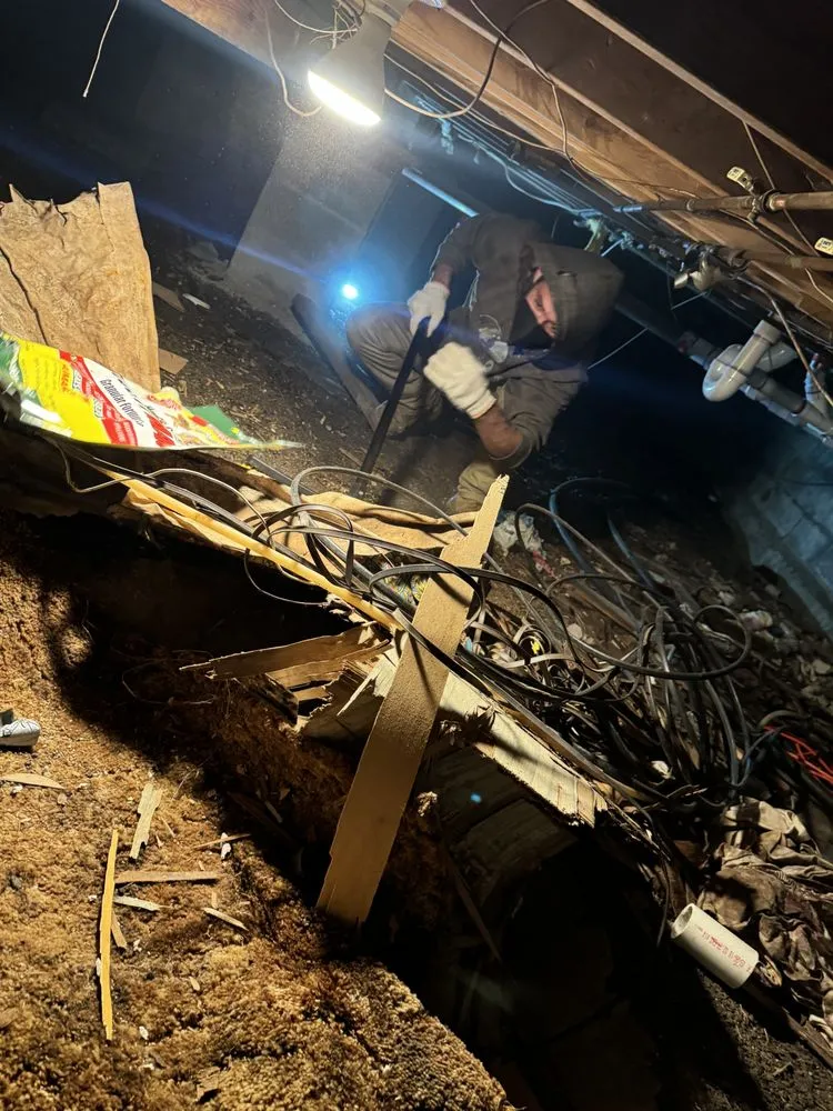 Professional landscape installation for outdoor upgrades across Hyde Park, NY - Jacob’s Property Maintenance