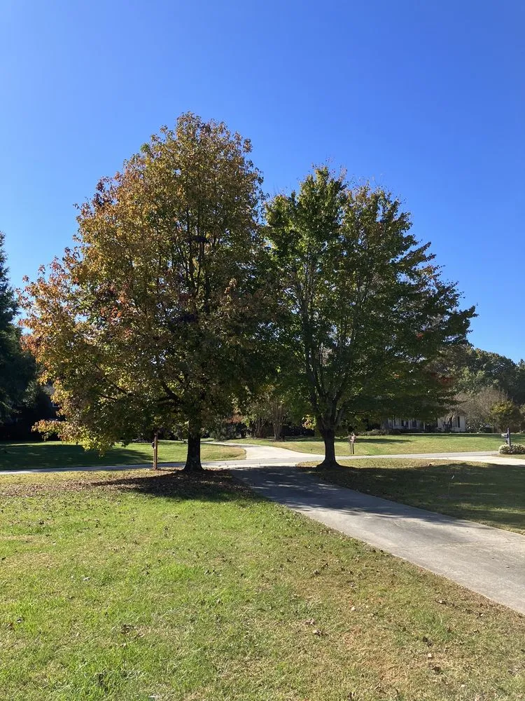 Trusted yard maintenance in Trinity, NC - Jacob's Total Home Care