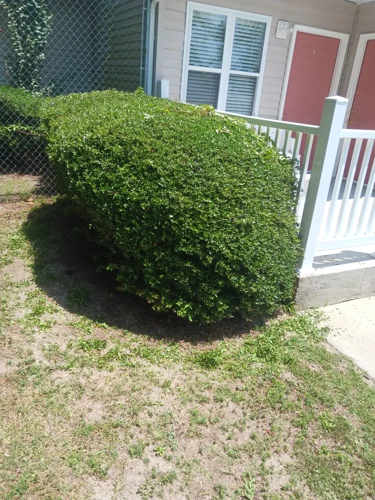 Professional residential landscaping for residential properties in Maxton, NC by Jacobs Tree Removal and Lawn Care