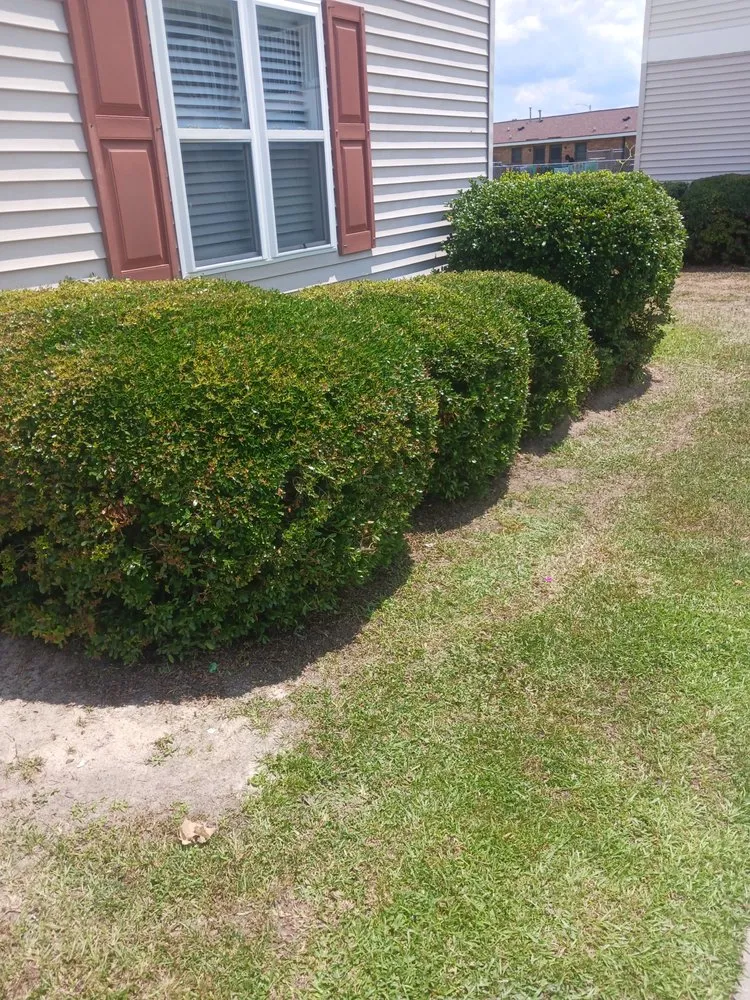 Custom residential landscaping in Maxton, NC - Jacobs Tree Removal and Lawn Care