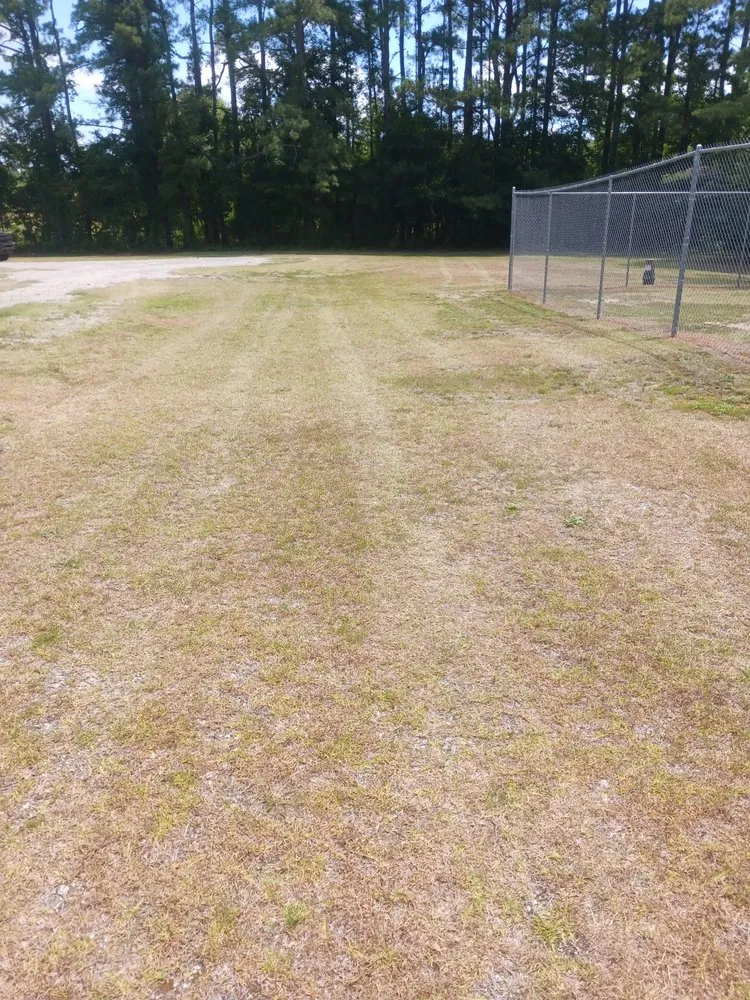 Reliable lawn mowing service near you in Maxton, NC by Jacobs Tree Removal and Lawn Care