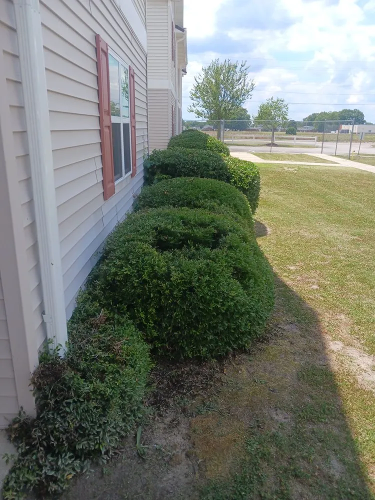 Professional lawn mowing service in Maxton, NC - Jacobs Tree Removal and Lawn Care