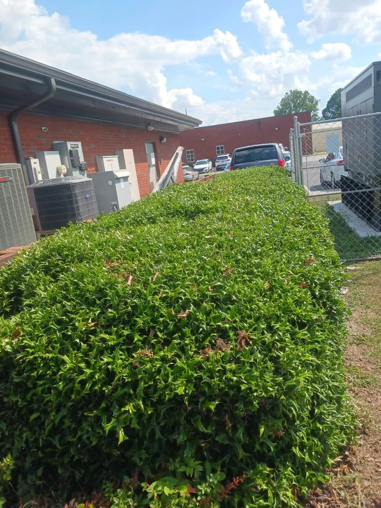 Affordable yard maintenance in Maxton, NC by Jacobs Tree Removal and Lawn Care
