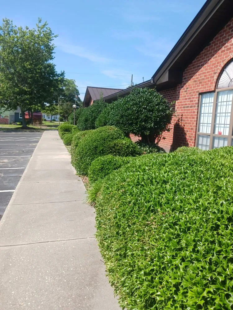 Top-rated outdoor landscaping for outdoor upgrades in Maxton, NC by Jacobs Tree Removal and Lawn Care