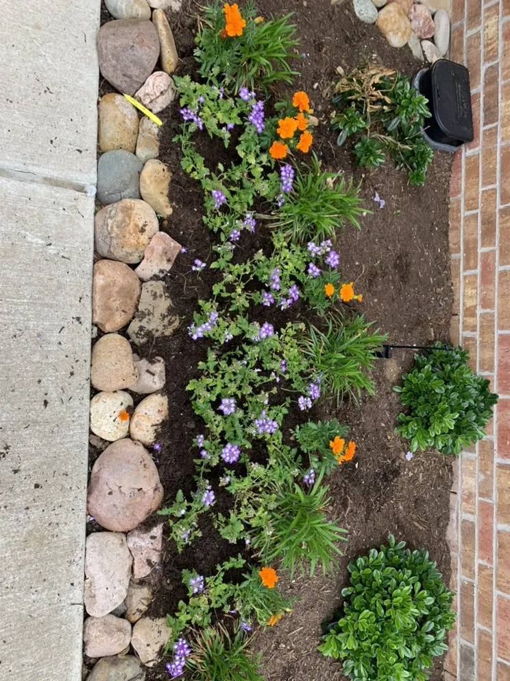 Custom residential landscaping in Denton, TX - Jacob’s Tree Removal