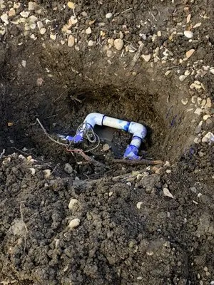 Jacob’s Tree Removal Logo