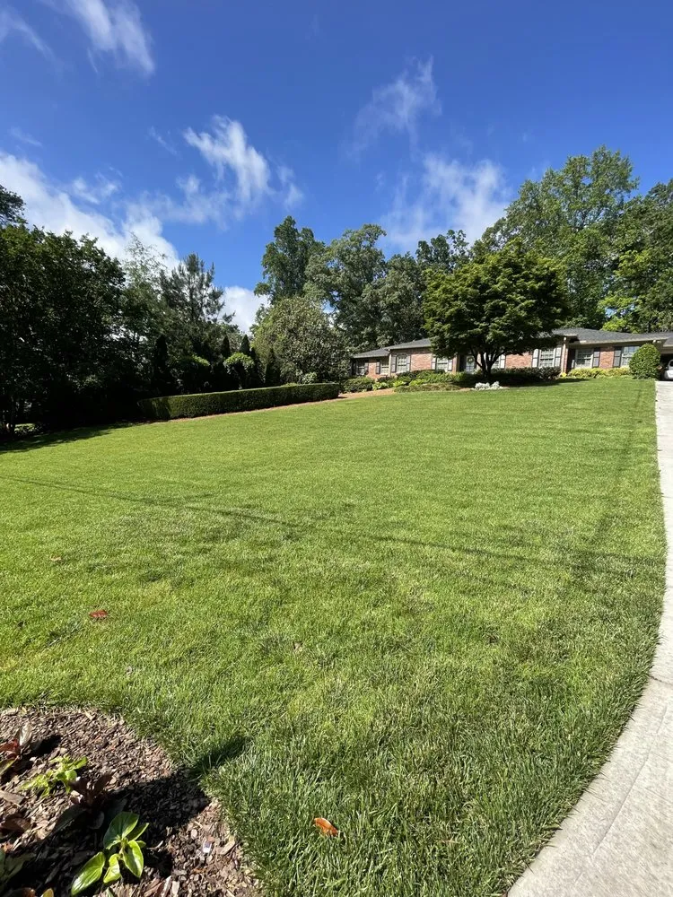 Affordable landscaping services in Atlanta, GA - Jacobs Turf