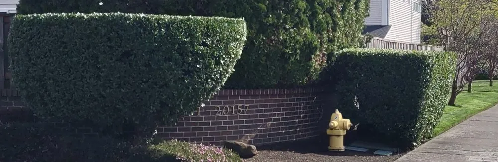 Reliable outdoor landscaping experts serving Woodburn, OR - Jacob's Yard Maintenance