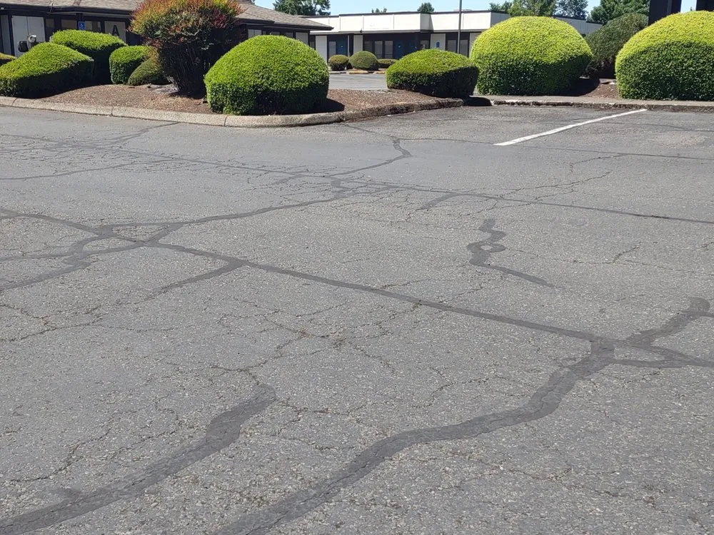 Expert landscaping services in Woodburn, OR by Jacob's Yard Maintenance