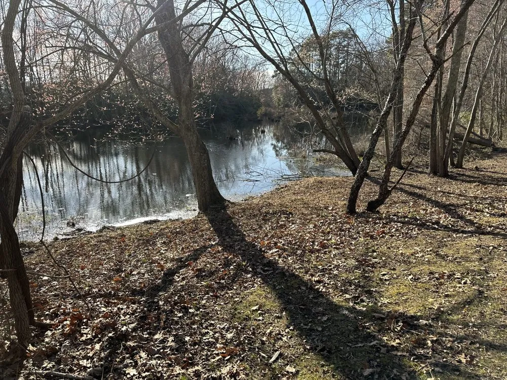 Reliable outdoor landscaping for beautiful yards in Kilmarnock, VA by Jacobson’s Lawn Care