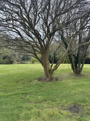 Jacobson’s Lawn Care