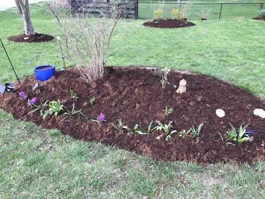 Jacobson's Mulch and More Logo