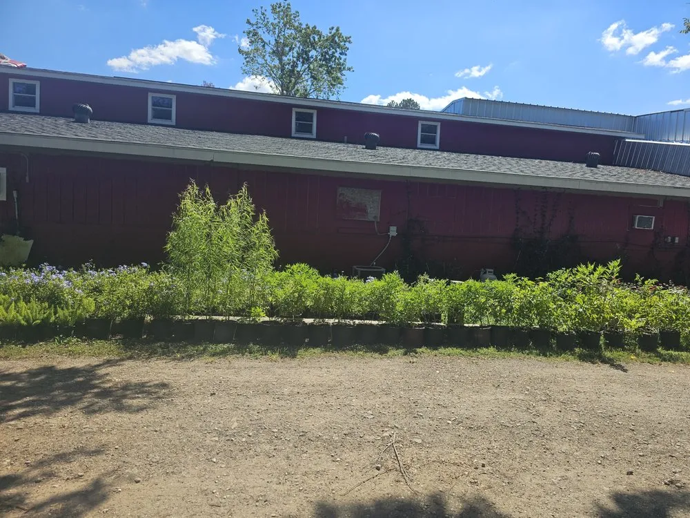 Expert outdoor landscaping near you across Cut and Shoot, TX - Jacome Landscaping