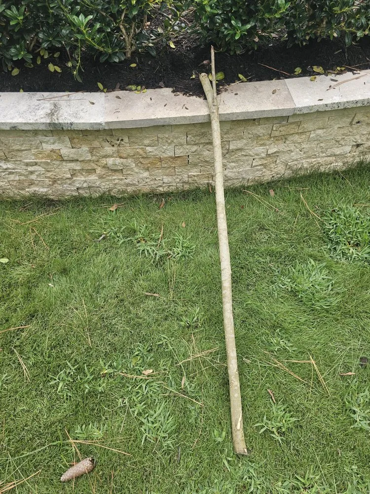 Top-rated lawn mowing service near you across Cut and Shoot, TX - Jacome Landscaping