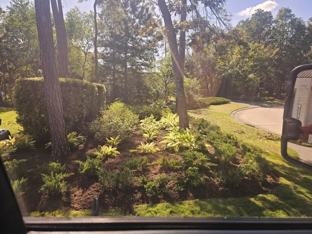 Trusted landscaping services in Cut and Shoot, TX - Jacome Landscaping
