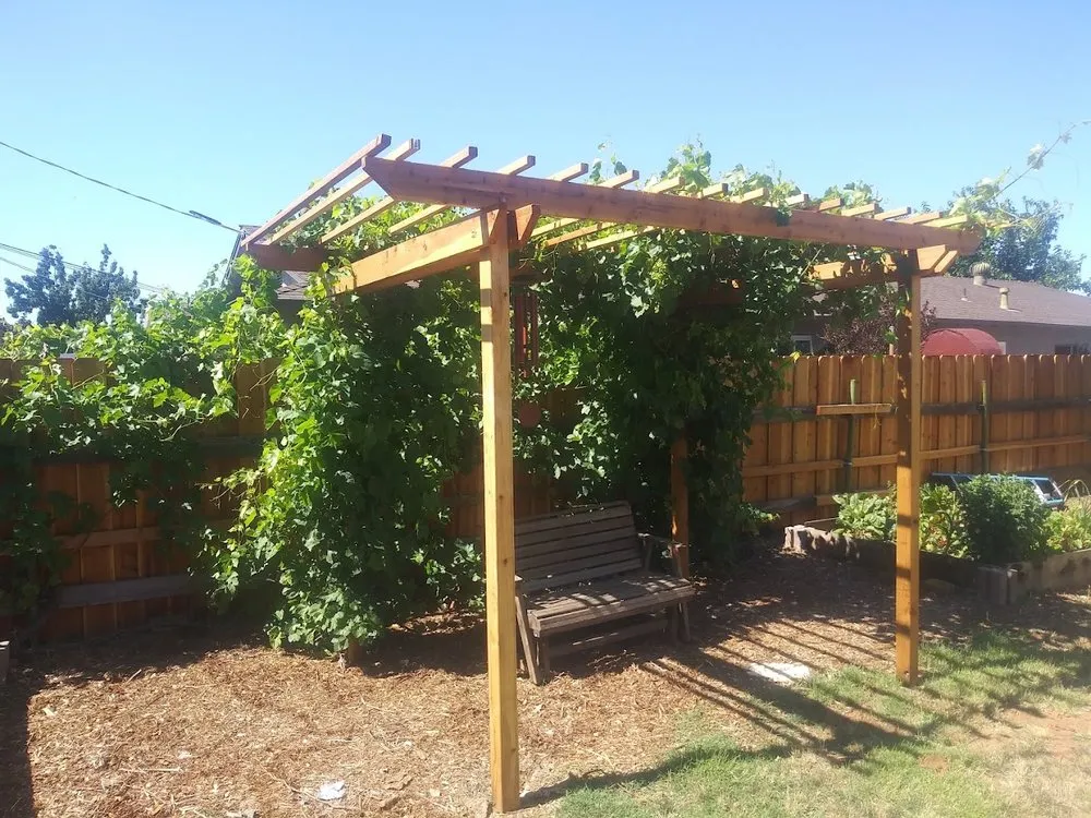 Local yard cleanup service in Lincoln, CA by Jacques Landscaping