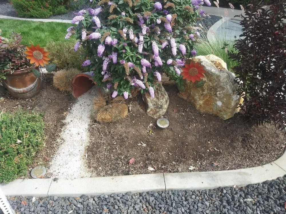 Custom landscape installation in Lincoln, CA - Jacques Landscaping