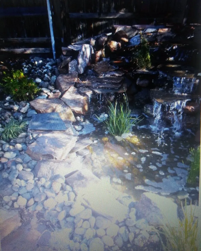 Expert landscape design in Lincoln, CA - Jacques Landscaping