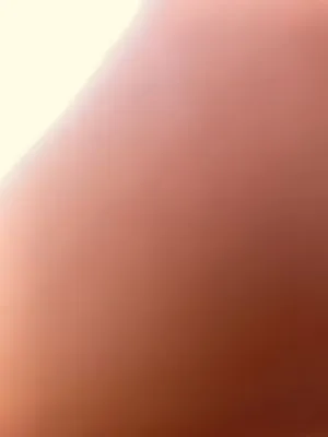 Jadarrions Lawn service Logo