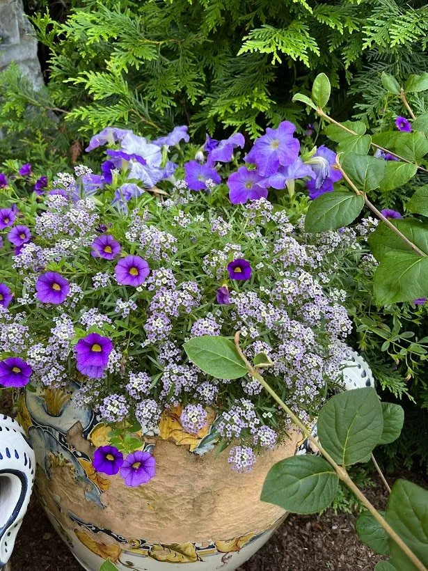 Reliable lawn mowing service in Mamaroneck, NY - Jade Garden Design