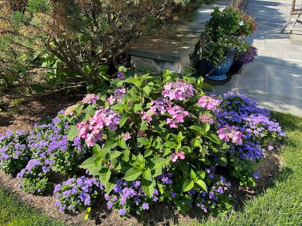 Professional landscape installation in Mamaroneck, NY by Jade Garden Design