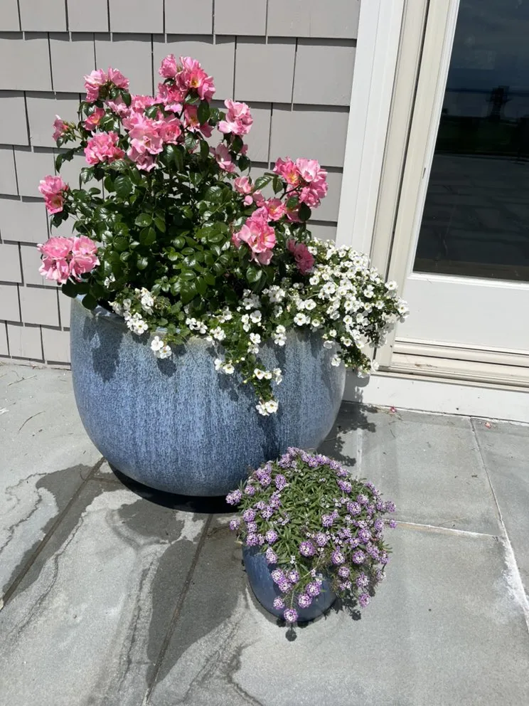 Local landscape installation in Mamaroneck, NY - Jade Garden Design