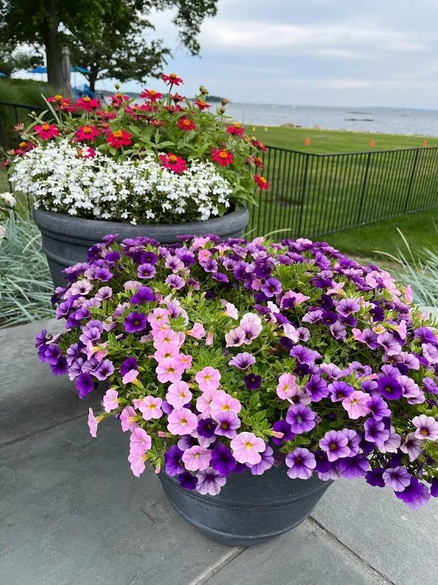 Custom yard maintenance in Mamaroneck, NY by Jade Garden Design