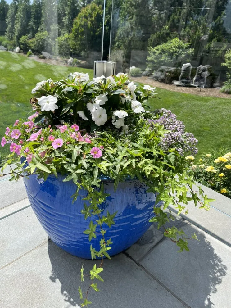 Local landscape design experts serving Mamaroneck, NY - Jade Garden Design