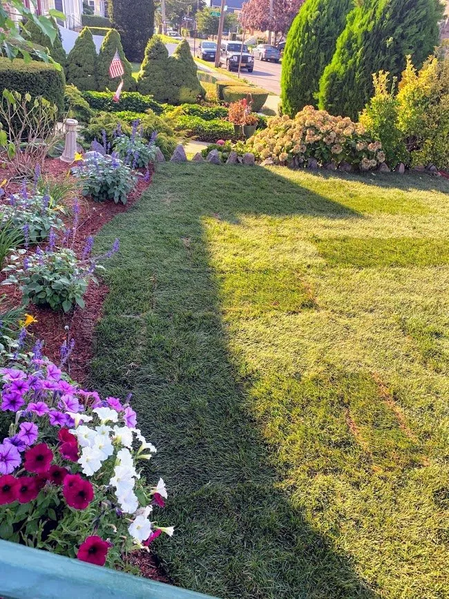 Professional outdoor landscaping in Mamaroneck, NY - Jade Garden Design