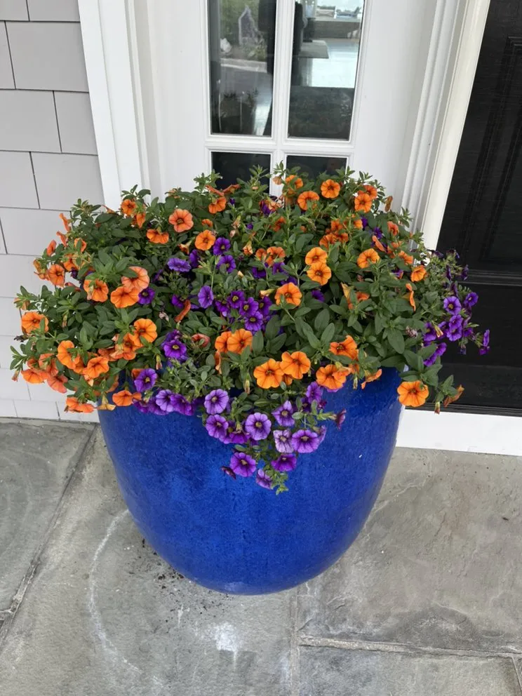 Reliable yard maintenance with custom design across Mamaroneck, NY - Jade Garden Design