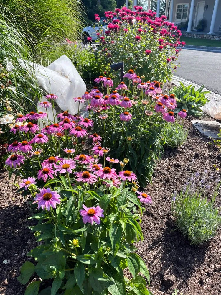 Trusted garden landscaping in Mamaroneck, NY by Jade Garden Design