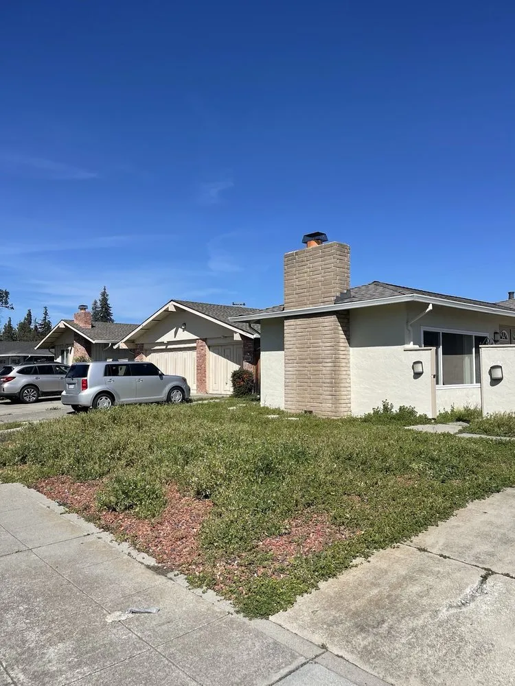 Custom landscaping services in San Jose, CA by Jade Landscape Management