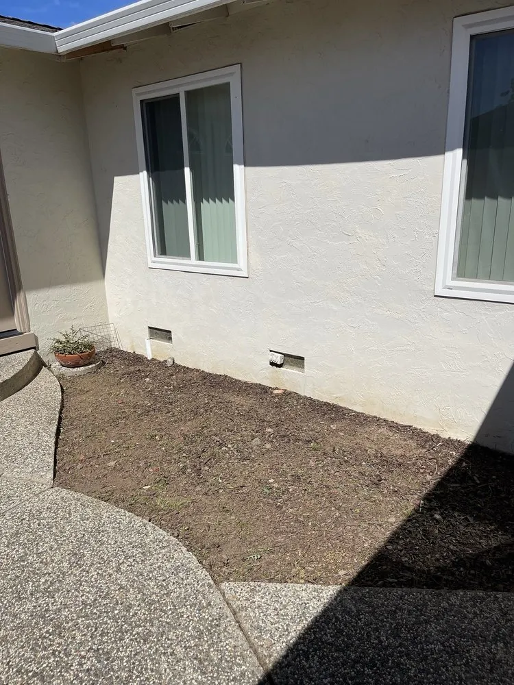 Expert lawn care service for year-round maintenance in San Jose, CA by Jade Landscape Management