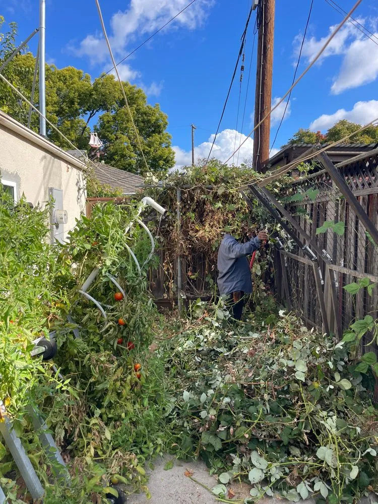 Custom landscaping services for outdoor upgrades in San Jose, CA by Jade Landscape Management