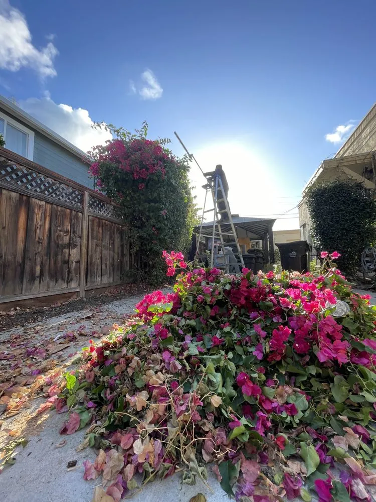 Expert garden landscaping for homes in San Jose, CA by Jade Landscape Management