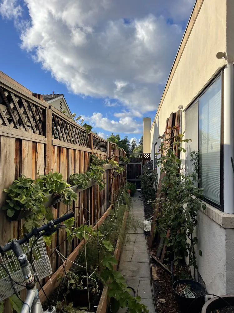 Expert landscaping services with custom design across San Jose, CA - Jade Landscape Management