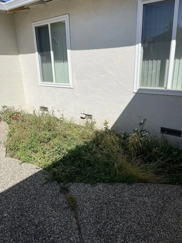 Top-rated landscape design in San Jose, CA by Jade Landscape Management