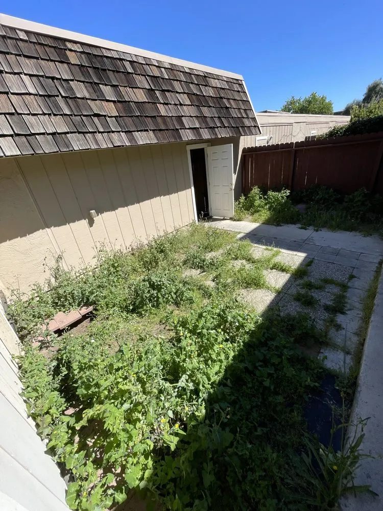 Affordable landscape installation in San Jose, CA - Jade Landscape Management