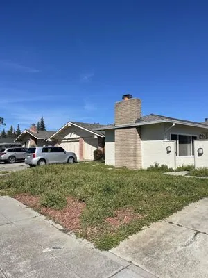 Jade Landscape Management Logo