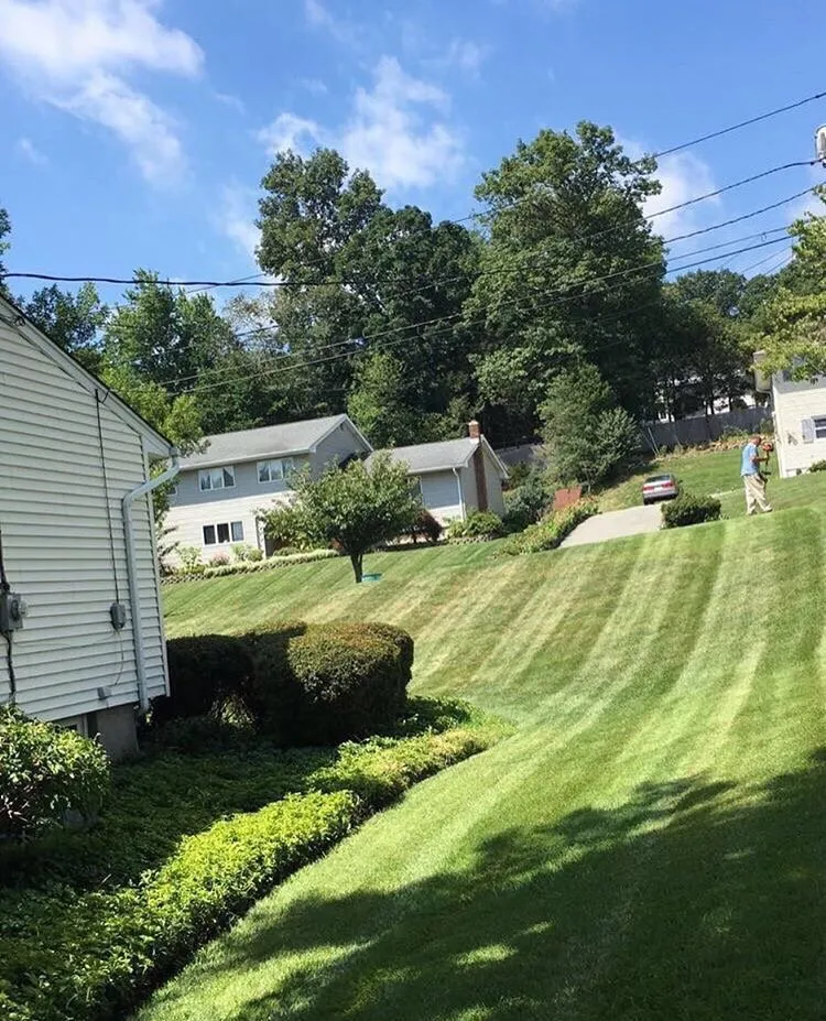 Expert outdoor landscaping for beautiful yards in Wayne, NJ by Jade Landscape Services