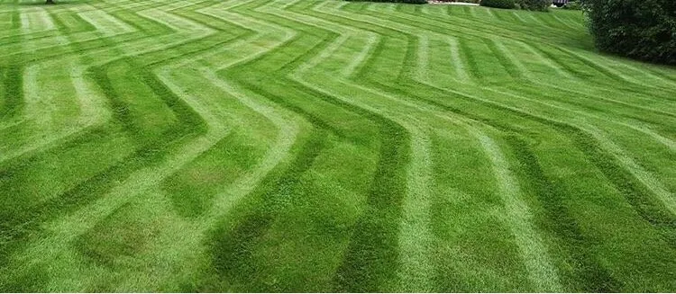 Local yard maintenance in Wayne, NJ - Jade Landscape Services