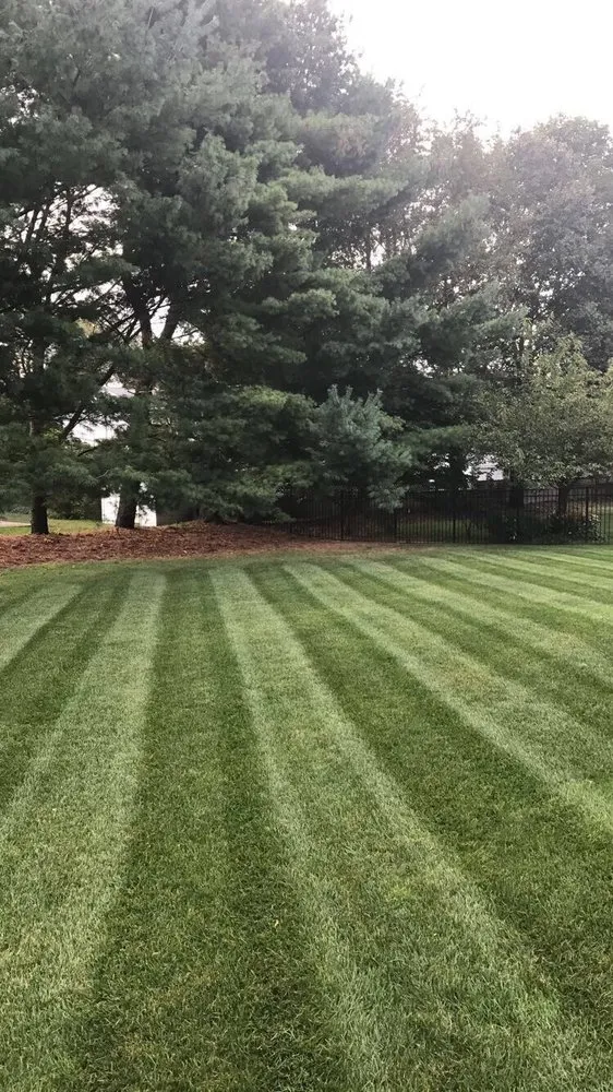 Top-rated lawn mowing service with custom design in Wayne, NJ by Jade Landscape Services