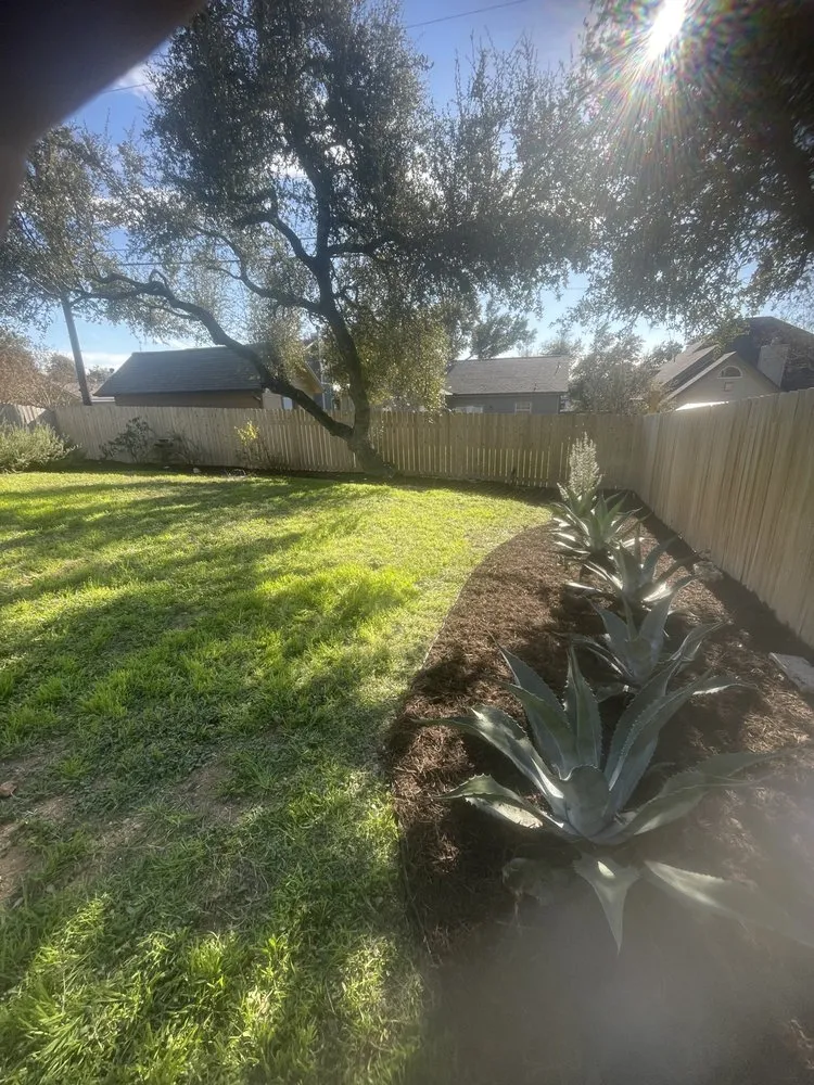 Professional yard cleanup service in Bee Cave, TX by Jades Landscaping and Junk removal