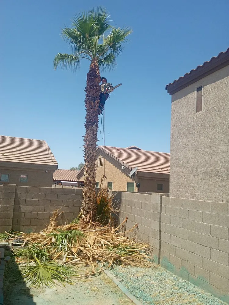 Reliable landscape design near you in Buckeye, AZ by Jade's Landscaping