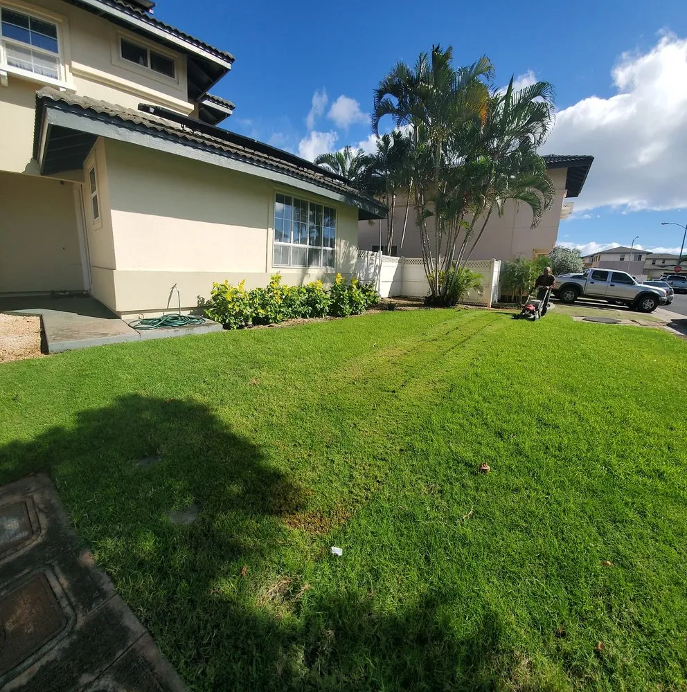 Expert yard cleanup service in Waipahu, HI by Jade's Maintenance & Building Services
