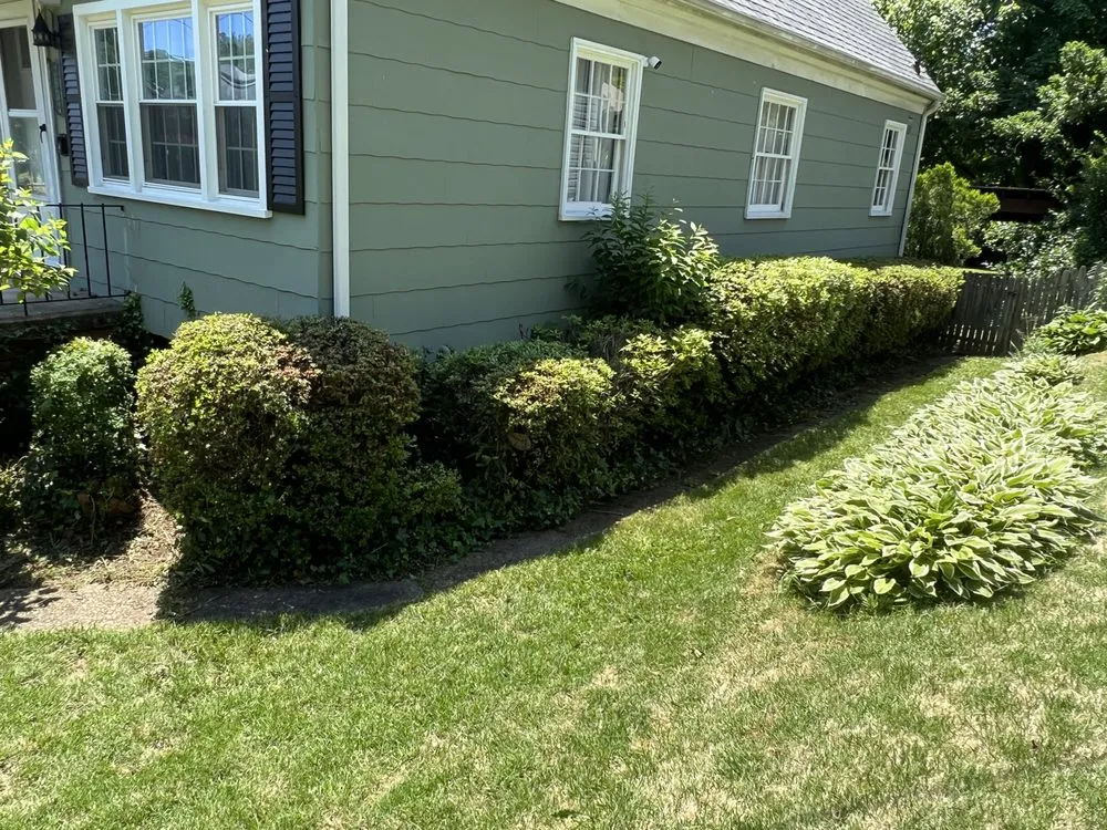 Affordable yard maintenance in Baltimore, MD by Jae Lawnscape And Bulk