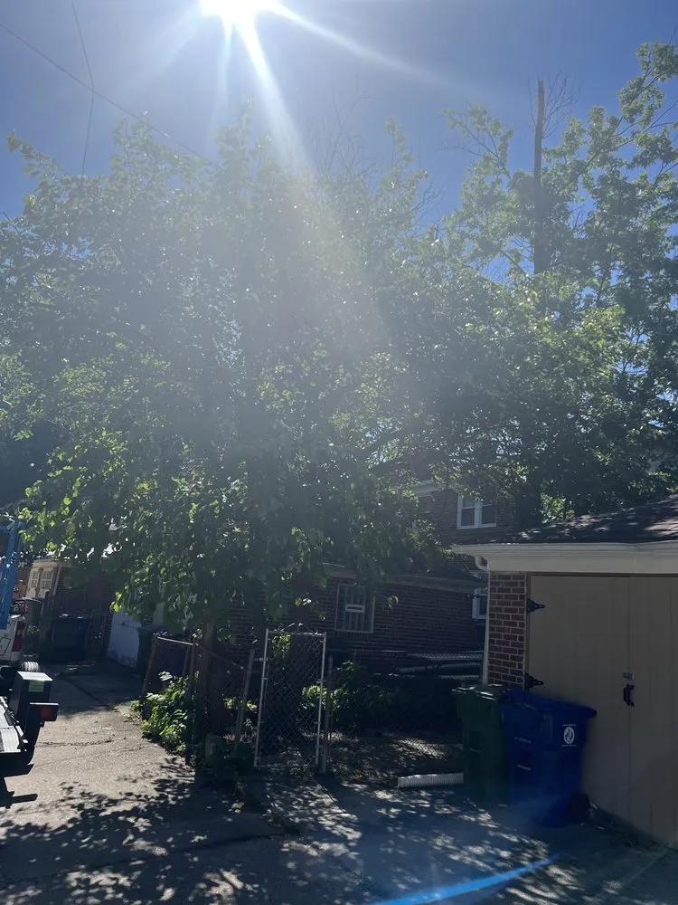 Reliable lawn mowing service in Baltimore, MD - Jae Lawnscape And Bulk