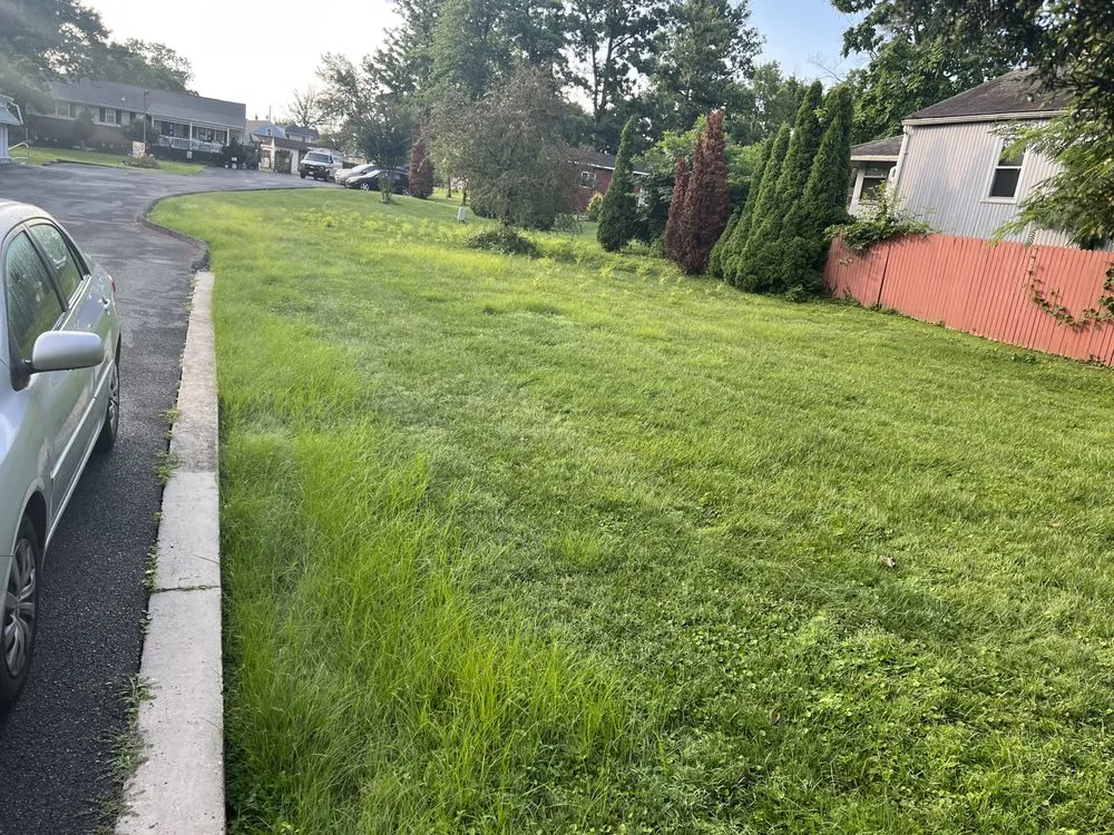 Local yard maintenance in Baltimore, MD by Jae Lawnscape And Bulk