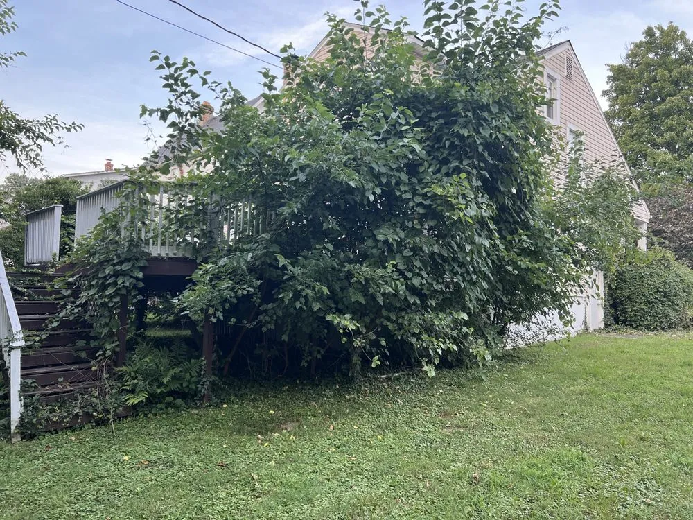 Top-rated landscape installation in Baltimore, MD - Jae Lawnscape And Bulk