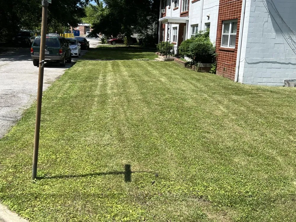 Professional landscaping services in Baltimore, MD - Jae Lawnscape And Bulk